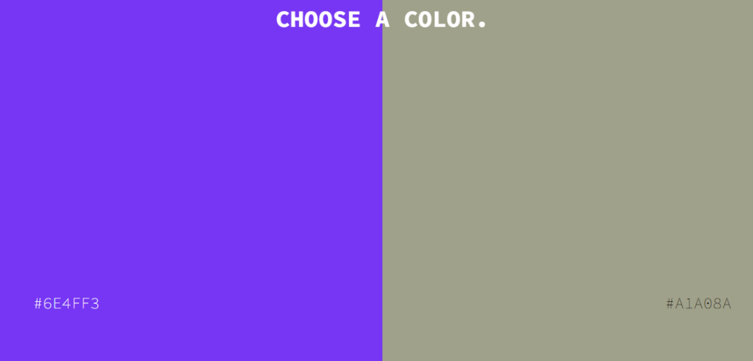 Screenshot der colorvote website mit zwei Farben