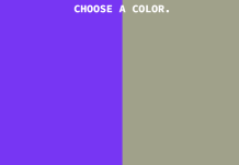 Screenshot der colorvote website mit zwei Farben